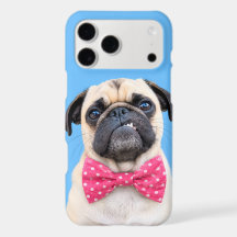 Bouledogue portant un nœud rose