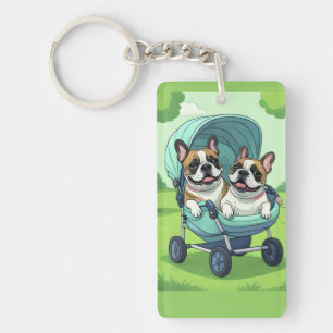 Bouledogues français jumeaux Französische Bulldogg