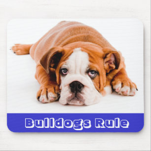 Bouledogues règnent !  Tapis de souris chiot boule