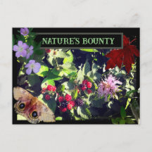 Bounty Wild Berries de la nature Carte postale