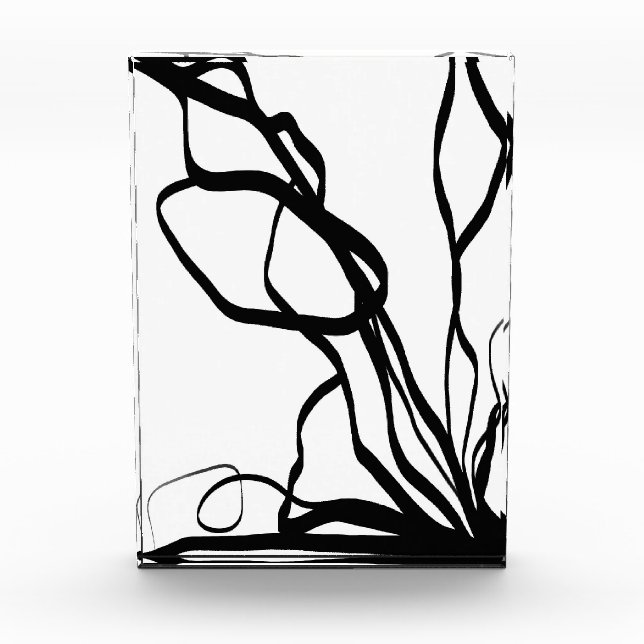 Bouquet Blanc: Abstrakt Weiß und Schwarz Fotoblock (Vorderseite)