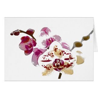 Bouquet de fleur d'orchidée de Phalaenopsis