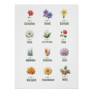 Bouquet de fleurs de naissance Affiche Floral aq