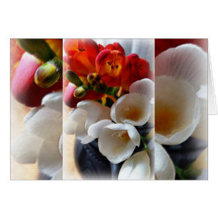 bouquet de freesias