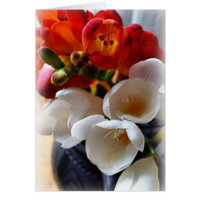 bouquet de freesias (Devant)