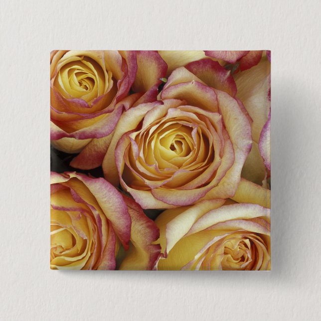 Bouquet der Rose Button (Vorderseite)