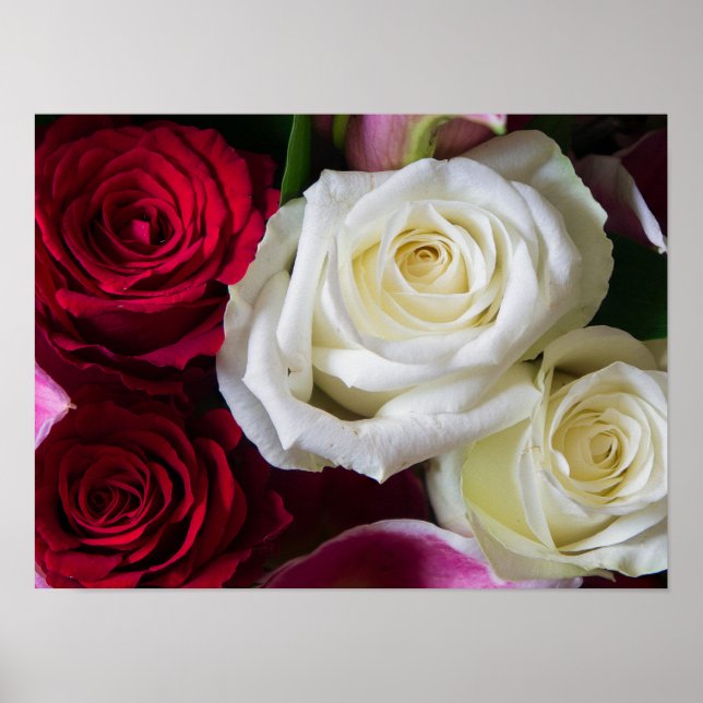 BOUQUET DER ROSE POSTER (Vorne)