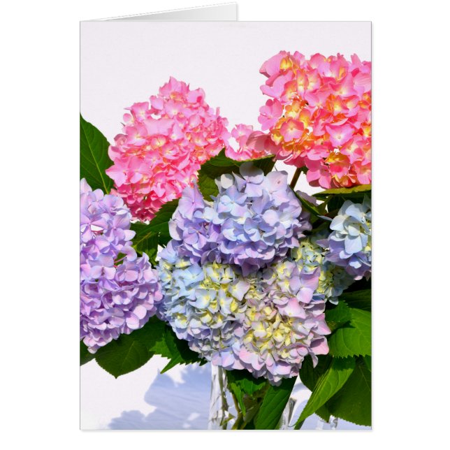 Bouquet d'hortensia bleu rose violet élégant (Devant)