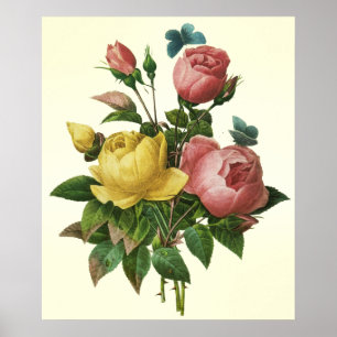 Bouquet Rose et papillon, affiche Pierre Redoute
