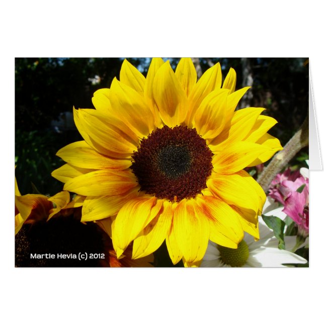 Bouquet Tournesol & Amis (Devant horizontal)