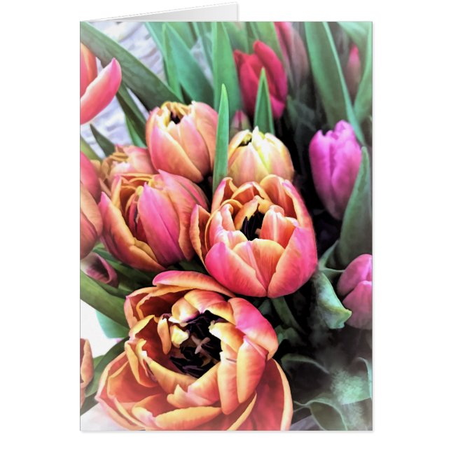 Bouquet Tulips (Devant)