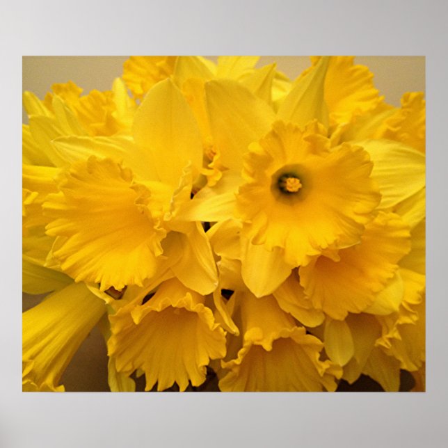 Bouquet von Affodils Poster (Vorne)