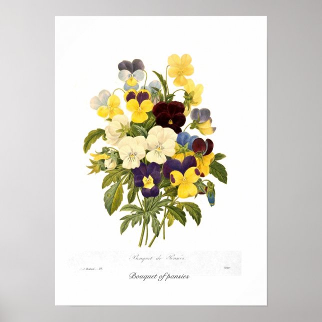 Bouquet von Stiefmütterchen Poster (Vorne)
