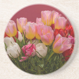 Bouquet von Tulips Sandstone Untersetzer