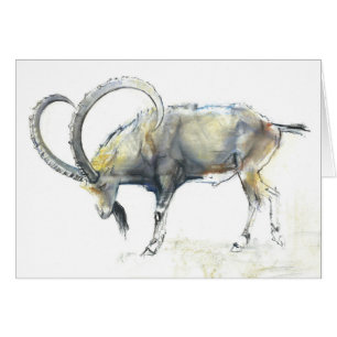 Bouquetin 2008 de Nubian