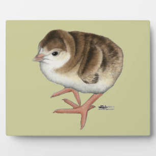 Bourbon Red Turkey Poult Fotoplatte