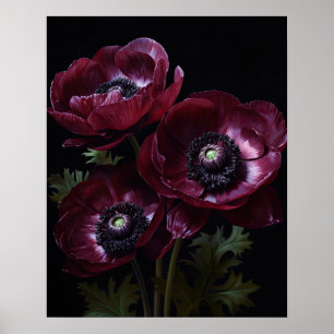 Bourgogne Anémone Fleurs Art Imprimer Poster