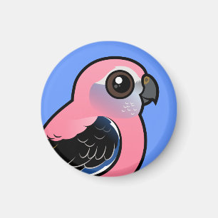 Bourke's Parakeet Magnet