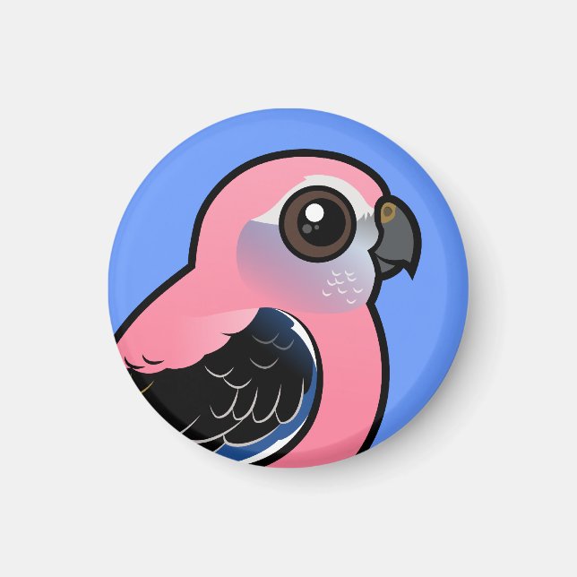 Bourke's Parakeet Magnet (Vorne)