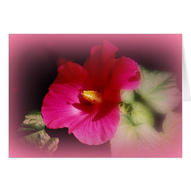 "Bourse Sur Le Chemin" (Devant Horizontal)