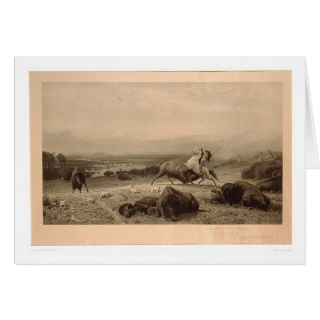 Bout de Buffalo Bierstadt (0137A) - non restauré (Devant horizontal)