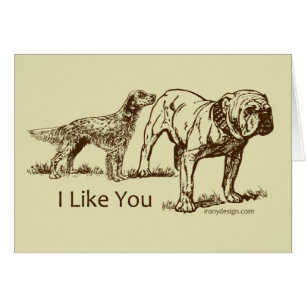 Bout de reniflements de chien