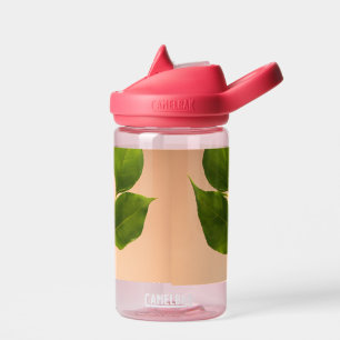 Bouteille