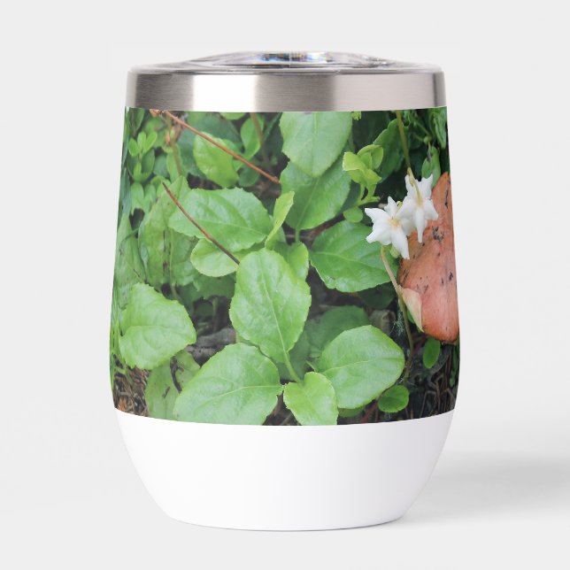 Bouteille d'eau (Avant)