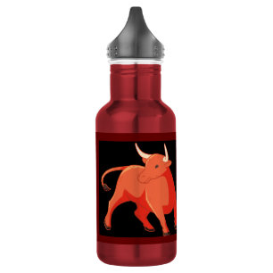 Bouteille d'eau (18 oz) - Bouteille d'eau en acier
