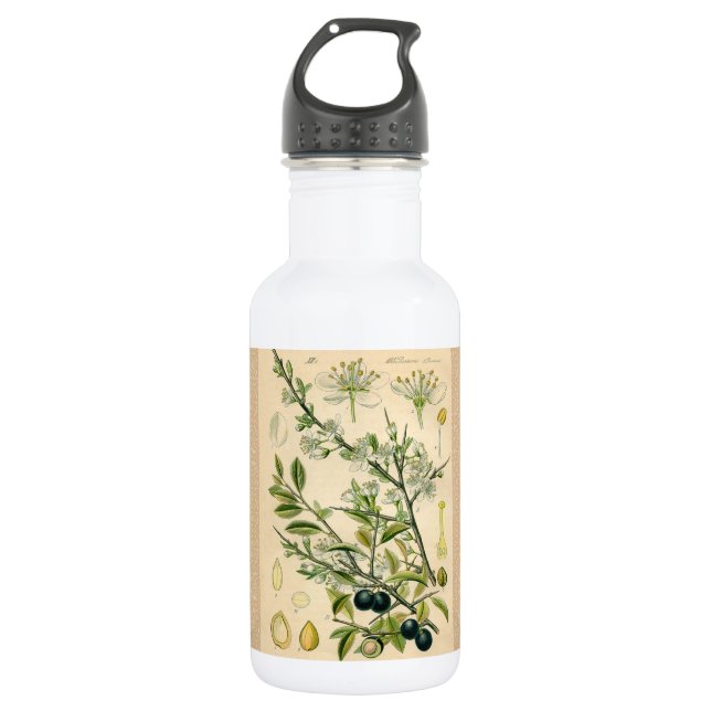 Bouteille D'eau Antique Blackthorn Botanique Imprimé Fleur Berry (Devant)