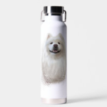 Ari la collection Samoyed