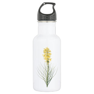 Bouteille D'eau asphodel jaune (Asphodelus luteus) par Redouté