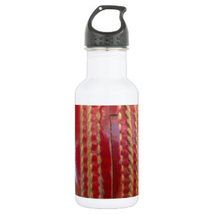 Bouteille D'eau Balle de cricket.jpg