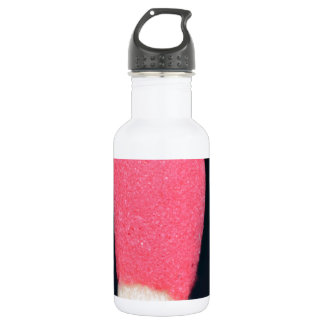 Bouteille D'eau Bâton "FireStarter " de match