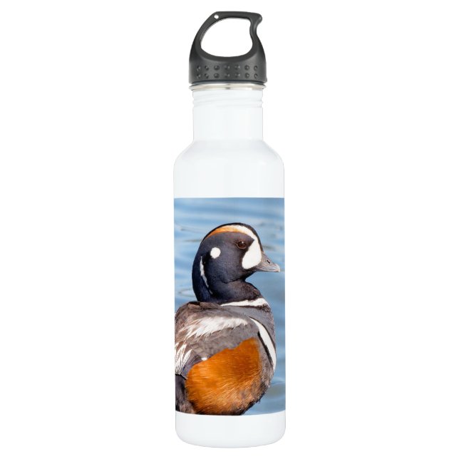 Bouteille D'eau Beau canard arlequin sur le rocher (Devant)