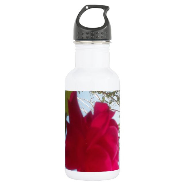 Bouteille D'eau Belle conception d'art tendance extraordinaire per (Devant)