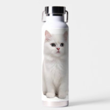 Bouteille d'eau blanche pour chats