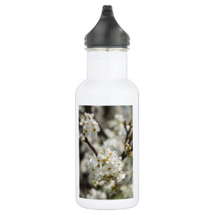 Bouteille D'eau Bradford Select Focus Water Bottle