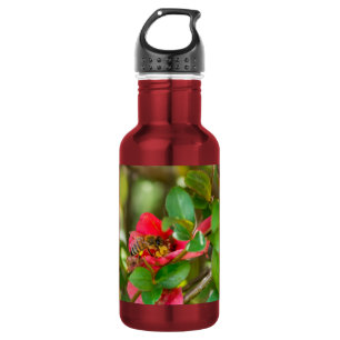 Bouteille D'Eau Bumblebee Et Azalea