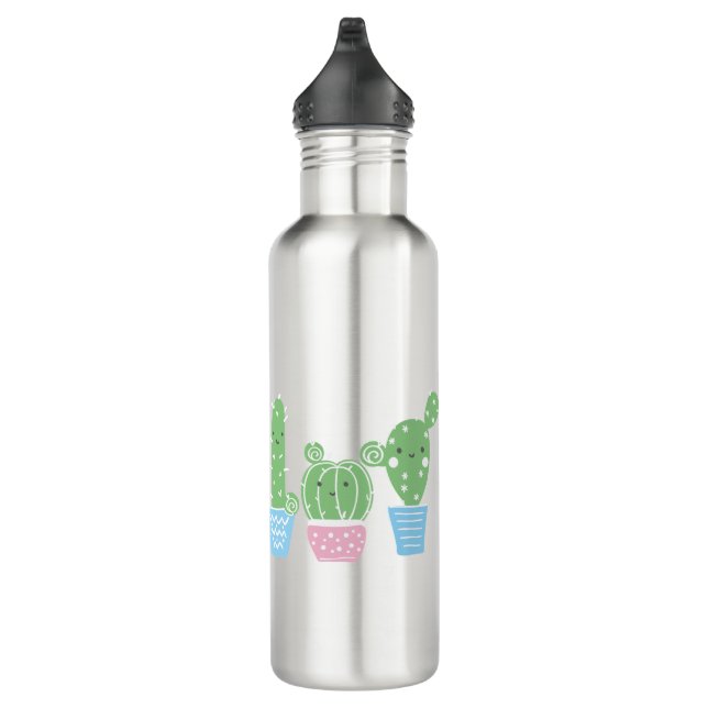 Bouteille D'eau cactus, succulent, mignonette fiesta, mexicaine, (Droite)