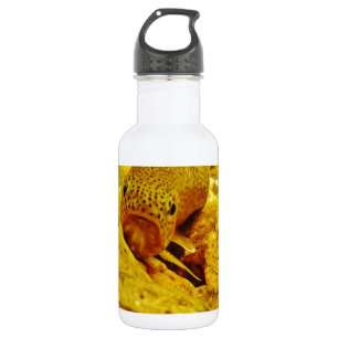 Bouteille D'eau Canal en flux