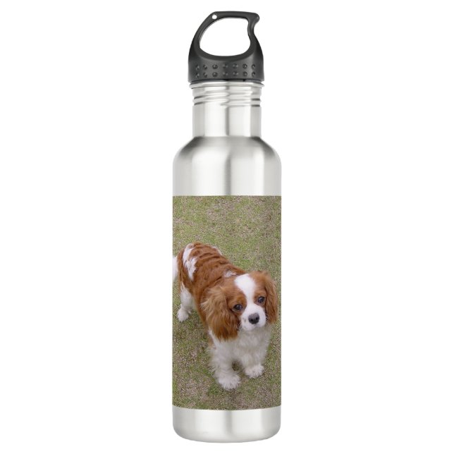 Bouteille D'eau Cavalier-roi-Charles-épagneul complètement (Devant)