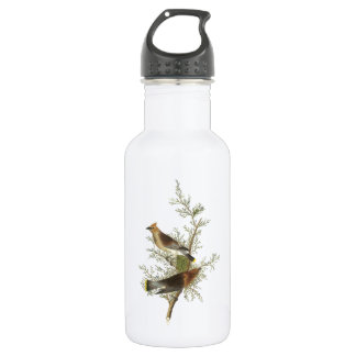 Bouteille D'eau Cèdre ciré par Audubon