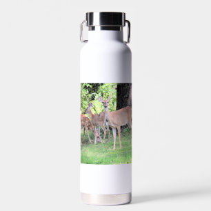 Bouteille D'eau Cerf
