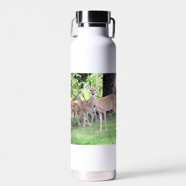Bouteille D'eau Cerf (Avant)