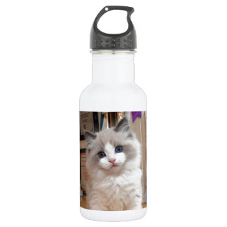 Bouteille D'eau Chaton Cutie de Ragdoll