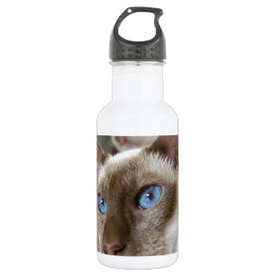 Bouteille D'eau Chats siamois Animaux de compagnie Animaux