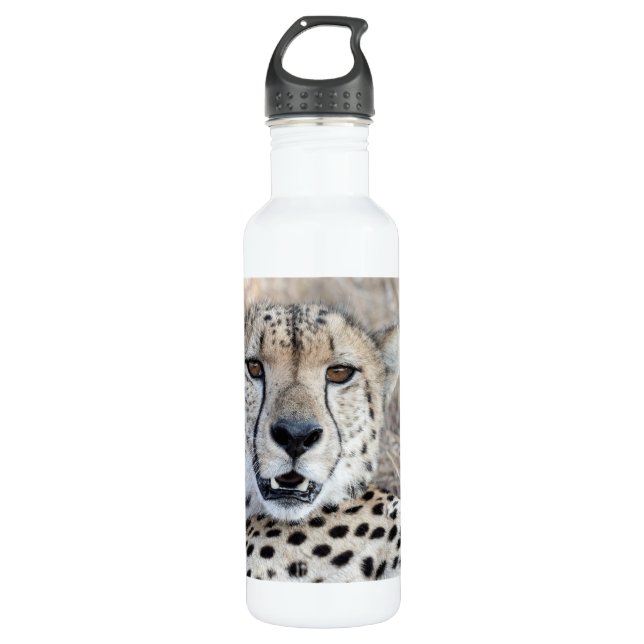 Bouteille D'eau Cheetah Portrait (Devant)