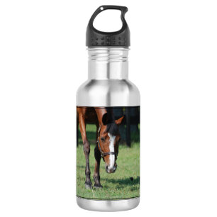 Bouteille D'eau Cheval quart magnifique