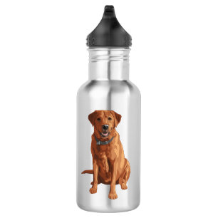 Bouteille D'eau Chien du Labrador jaune rouge renard